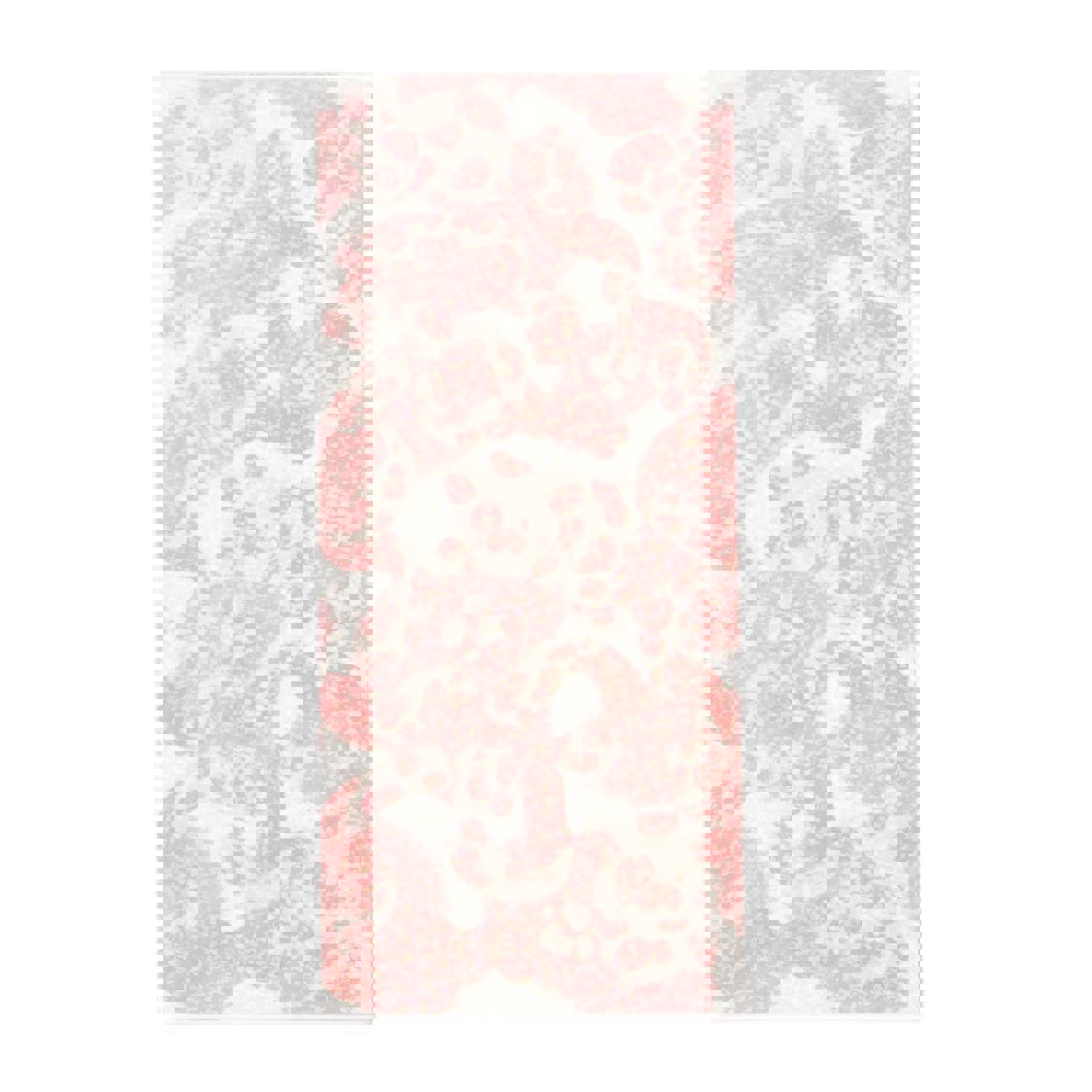 Craspire Laser Paper Stickers for DIY Scrapbooking and Photo Album Decoration - Pig Pattern (10 Sheets/Set)