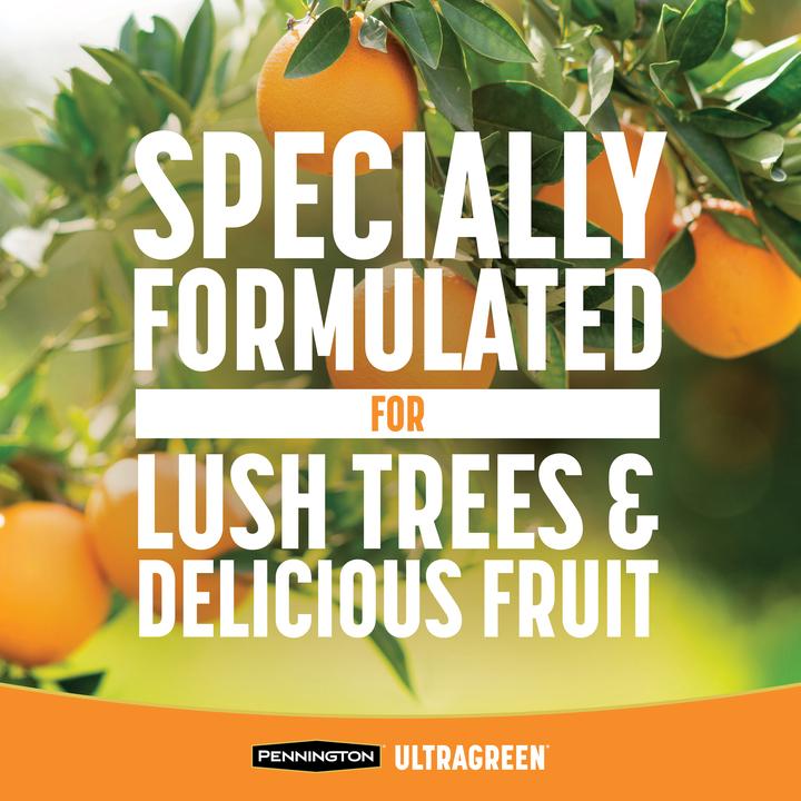 PENNINGTON ULTRAGREEN CITRUS & AVOCADO PLANT FOOD 10-5-5