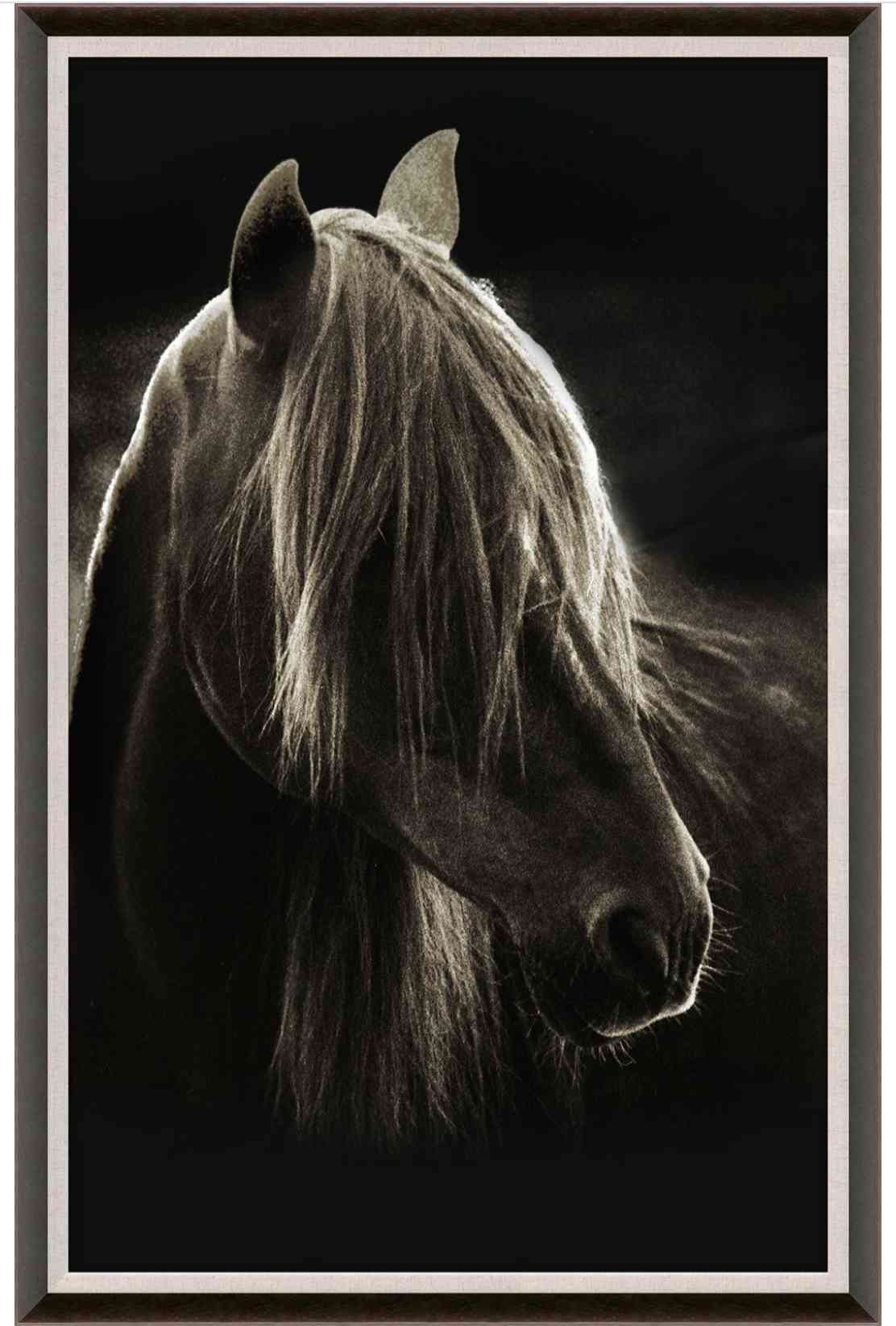Natural Curiosities Caballus Horse 1 Art - Custom Framed Horse Art Print