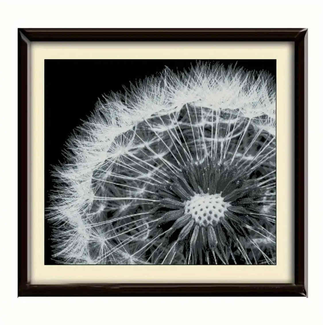 Monochrome Dandelion Cross Stitch Kit - Black and White DIY Embroidery Set for Beginners to Experts