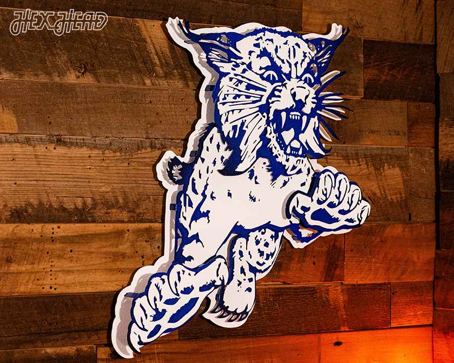 Kentucky Wildcats 1973 3D Vintage Metal Wall Art