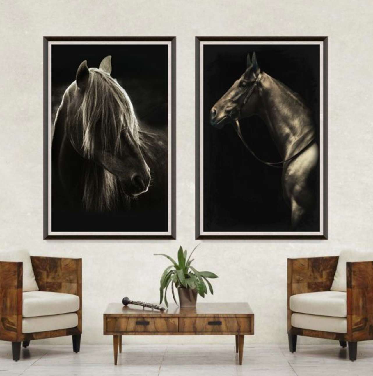 Natural Curiosities Caballus Horse 1 Art - Custom Framed Horse Art Print