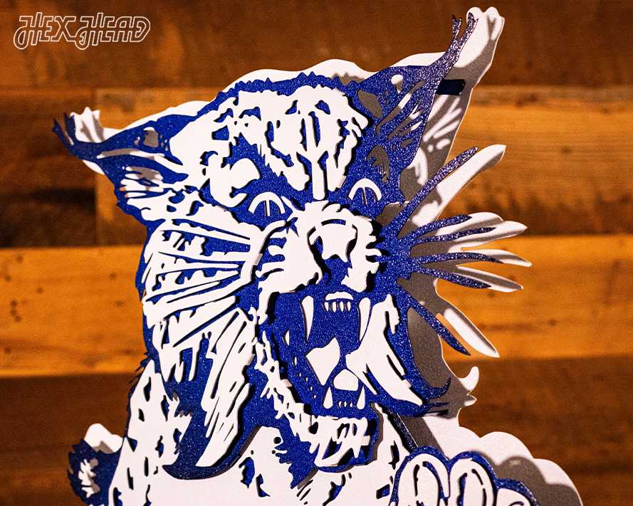 Kentucky Wildcats 1973 3D Vintage Metal Wall Art