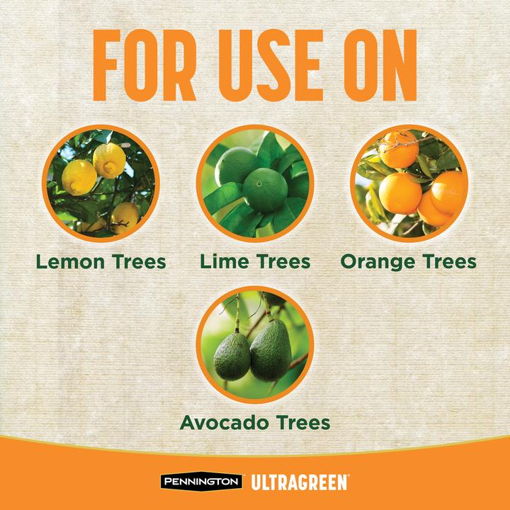 PENNINGTON ULTRAGREEN CITRUS & AVOCADO PLANT FOOD 10-5-5