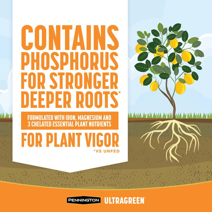 PENNINGTON ULTRAGREEN CITRUS & AVOCADO PLANT FOOD 10-5-5