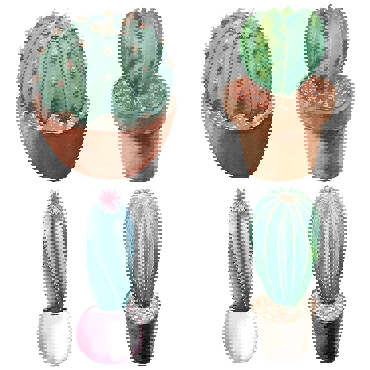 Craspire PVC Wall Sticker Set - Cactus Pattern, Flat Round Shape for Window or Stairway Decoration (4 Styles, 4pcs/set)