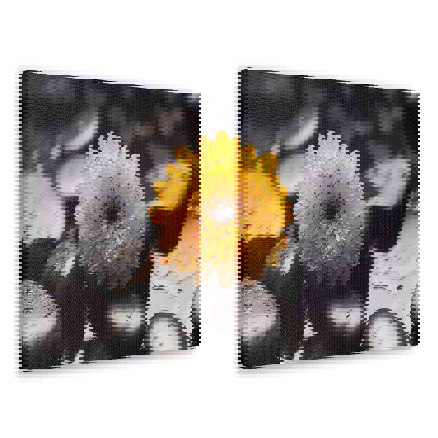 Macro of Yellow Flower Forest Floral Nature Photography Canvas Wall Art for Home Decor