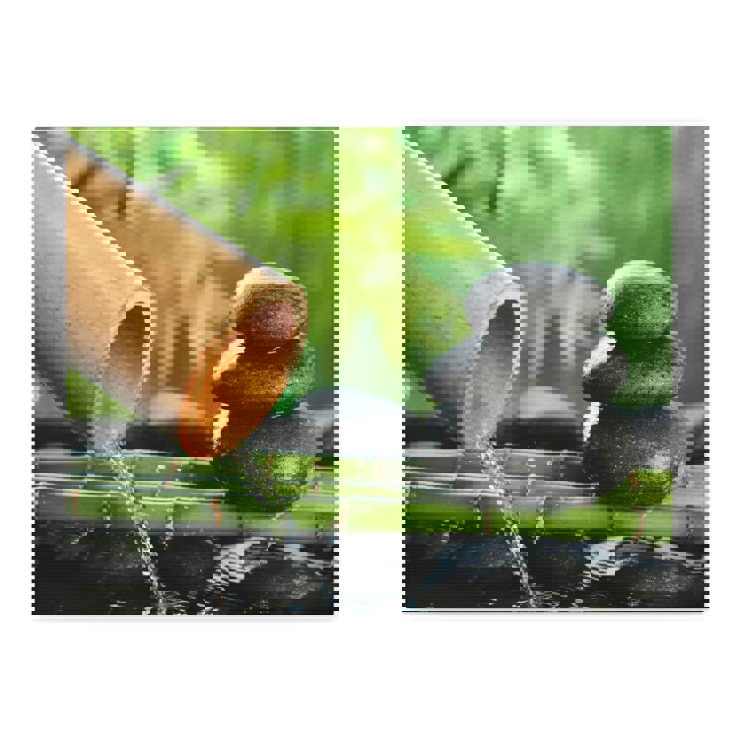 Traditional Bamboo Fountain Forest Floral Nature Photography Canvas Wall Art for Home Decor