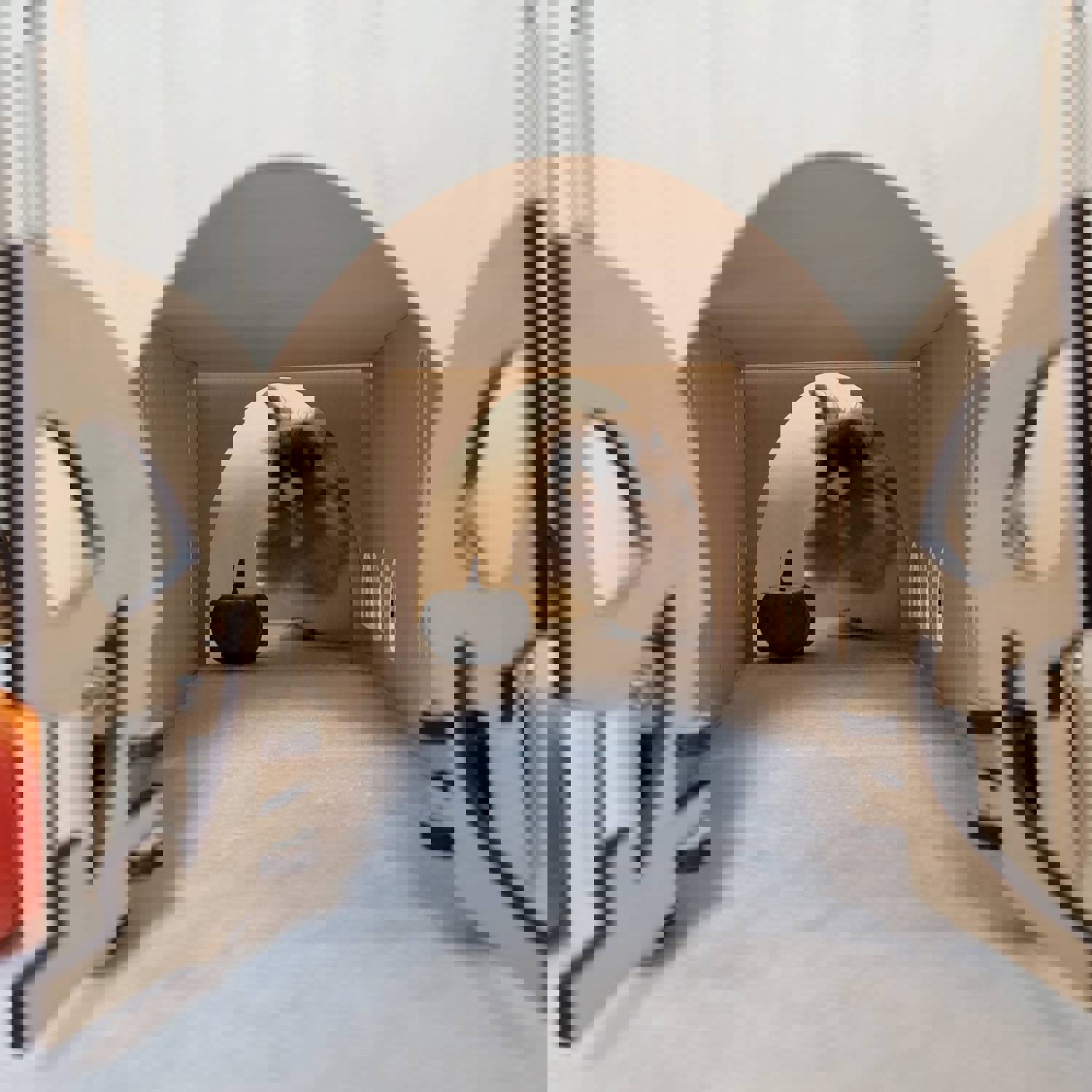 Halloween Trick or Treat Series - Pumpkin Doorway Bunny Enrichment Play Tunnel Toy