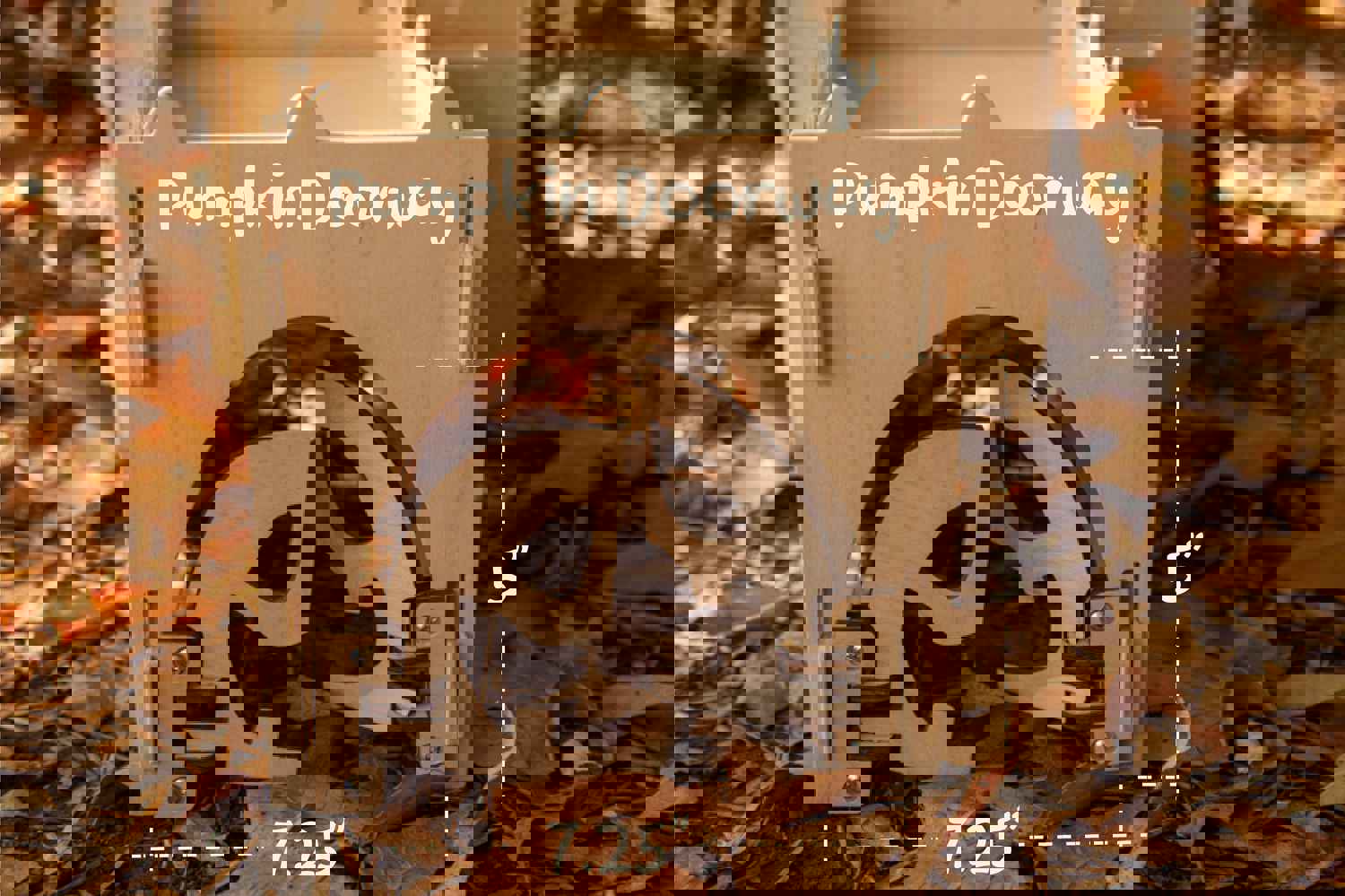 Halloween Trick or Treat Series - Pumpkin Doorway Bunny Enrichment Play Tunnel Toy