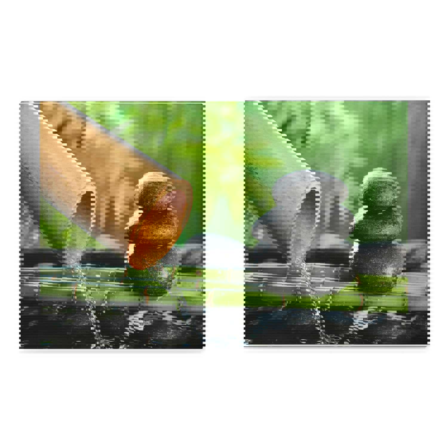 Traditional Bamboo Fountain Forest Floral Nature Photography Canvas Wall Art for Home Decor