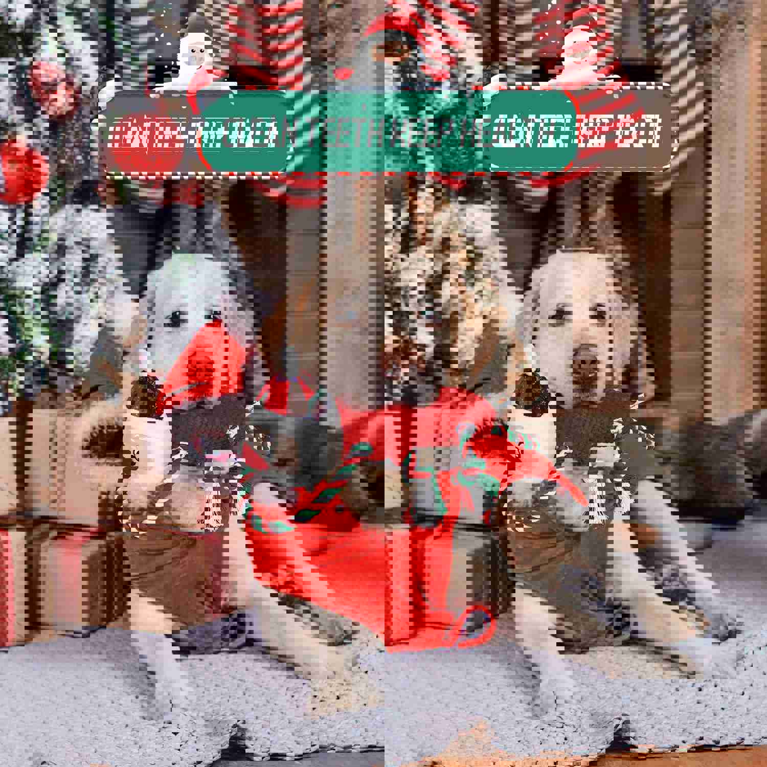 IOKHEIRA Christmas Santa Claus Squeaky Dog Toy - Interactive Plush Chew Toy with Crinkle Paper & Knotted Rope for Teeth Cleaning