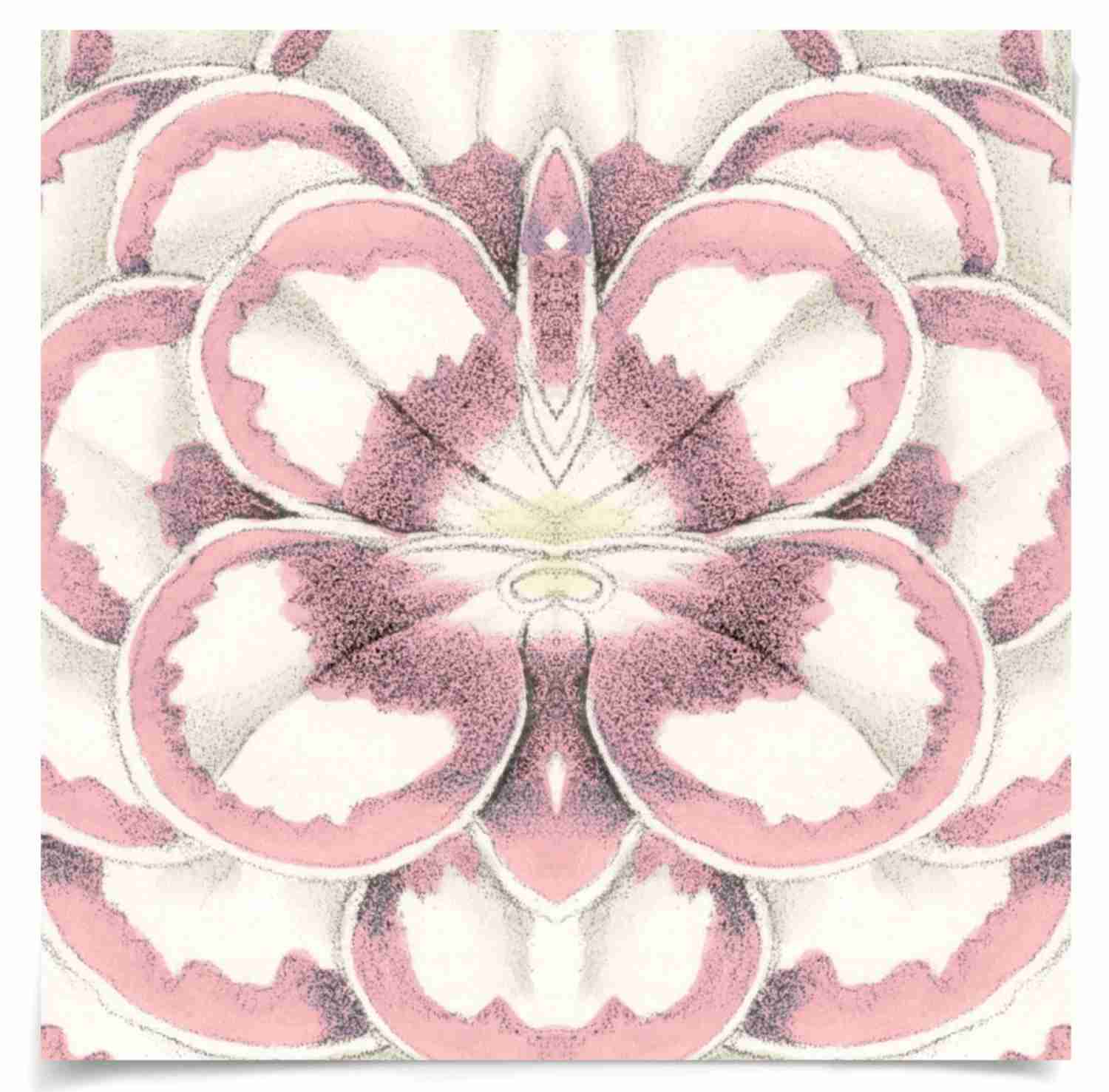 Natural Curiosities Carnations 4 Art - Modern Botanical Custom Artwork