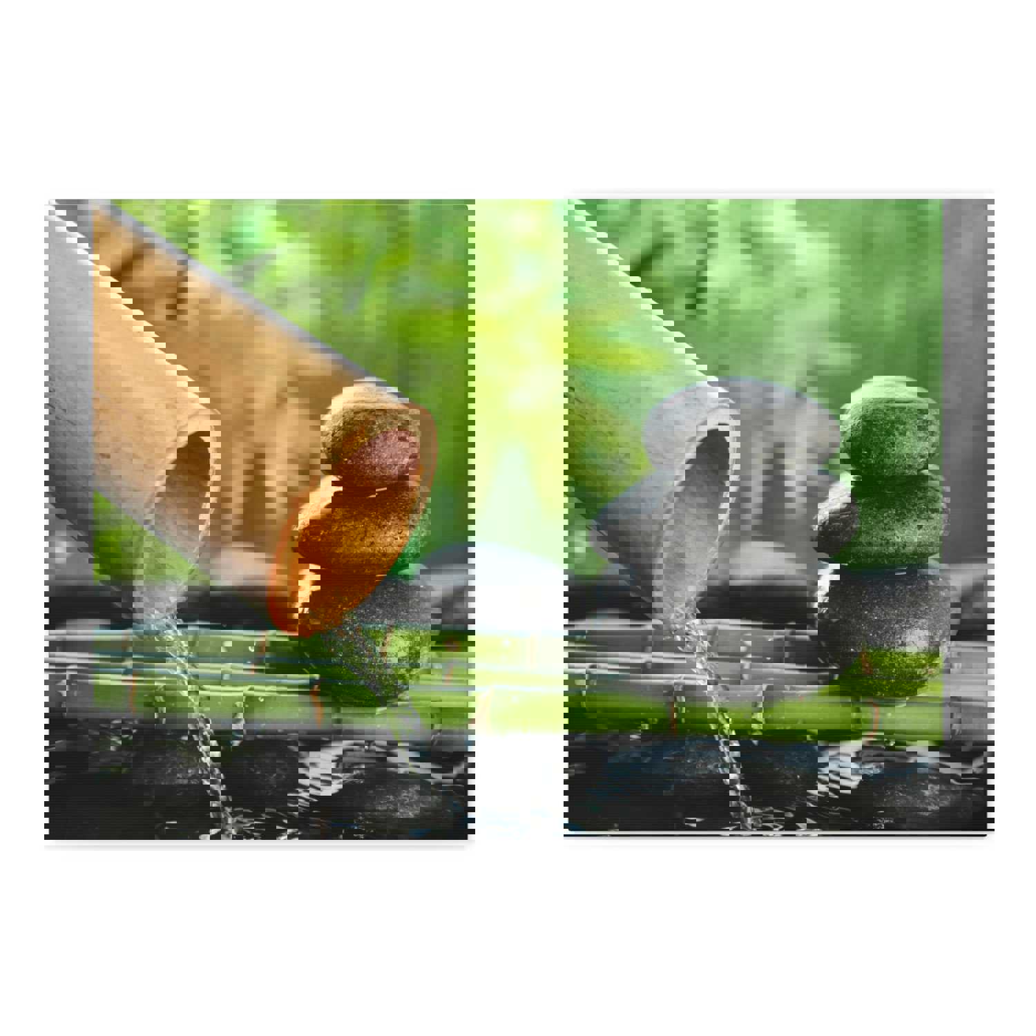 Traditional Bamboo Fountain Forest Floral Nature Photography Canvas Wall Art for Home Decor