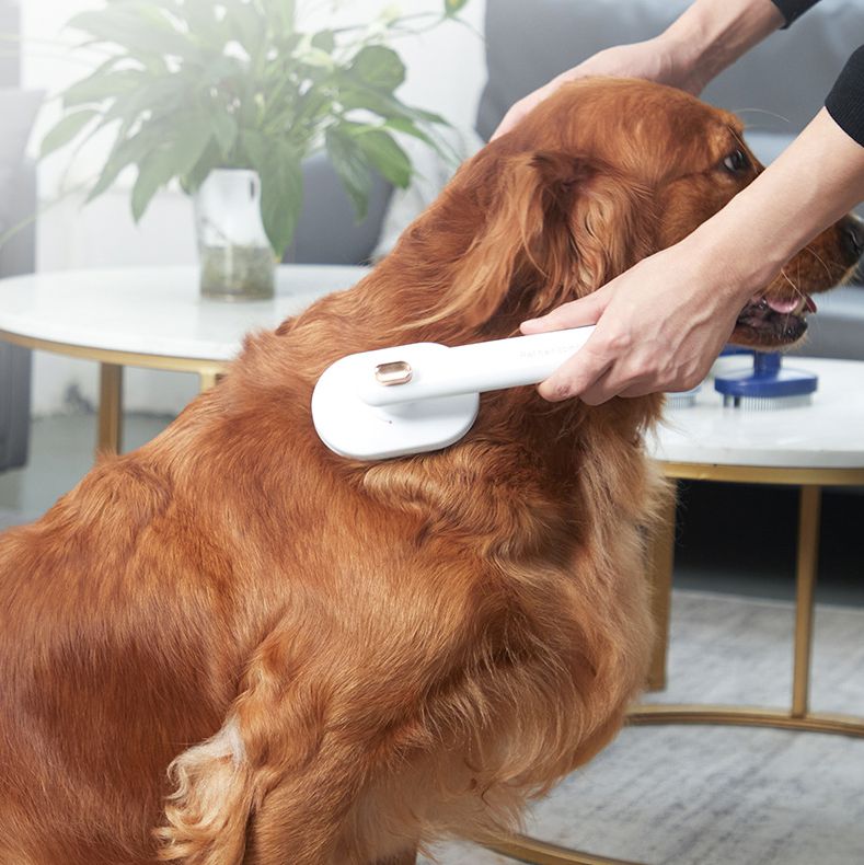 Pet Comb for Cats and Dogs - Self Cleaning Hair Removal Brush with High-Density Needles
