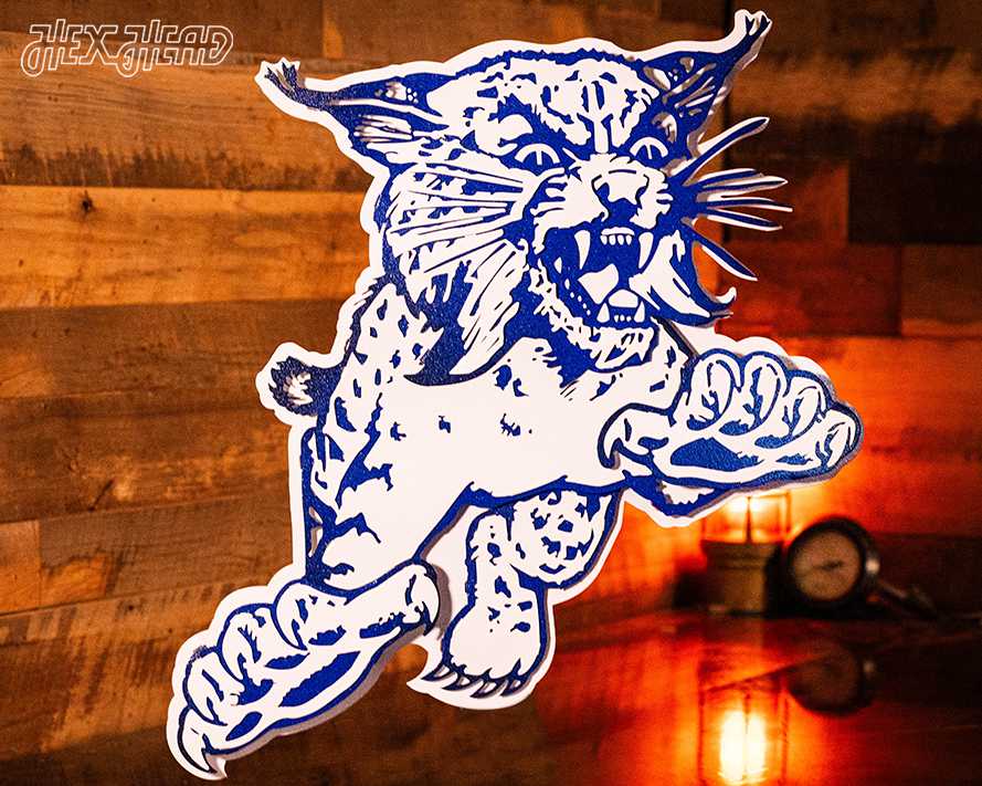 Kentucky Wildcats 1973 3D Vintage Metal Wall Art