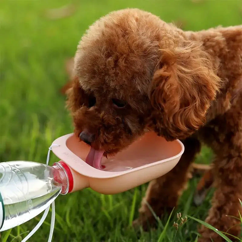 Portable Travel Pet Water Bottle for Dogs and Cats - Outdoor Drinking Feeder
