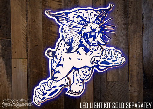 Kentucky Wildcats 1973 3D Vintage Metal Wall Art