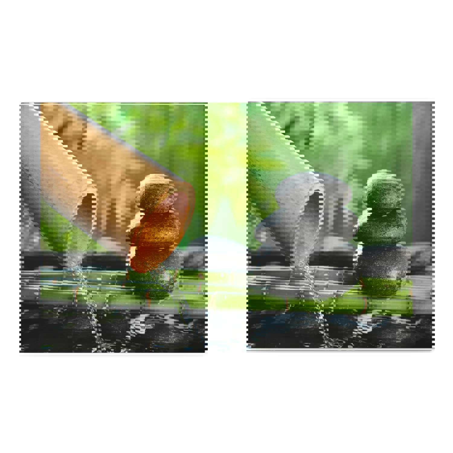 Traditional Bamboo Fountain Forest Floral Nature Photography Canvas Wall Art for Home Decor