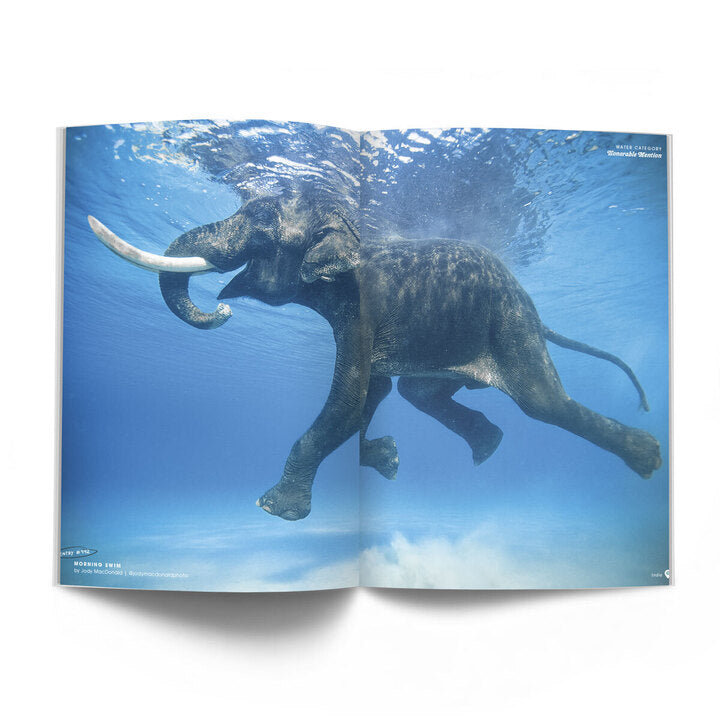 The Photo Issue: Volume 9, Issue 2 - Whalebone Magazine