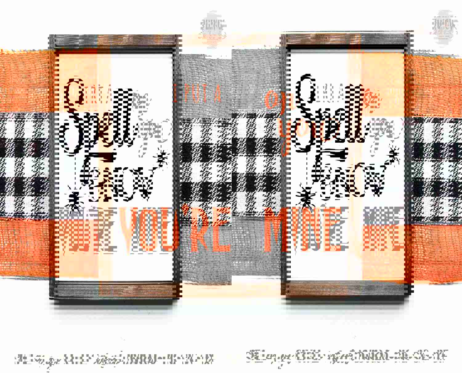 I Put a Spell On You SVG - Halloween Craft Cut File