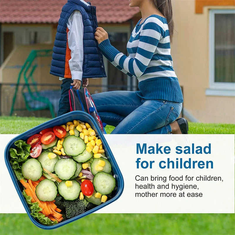 2 Compartments Large Bento Food Container with Dressing Cup