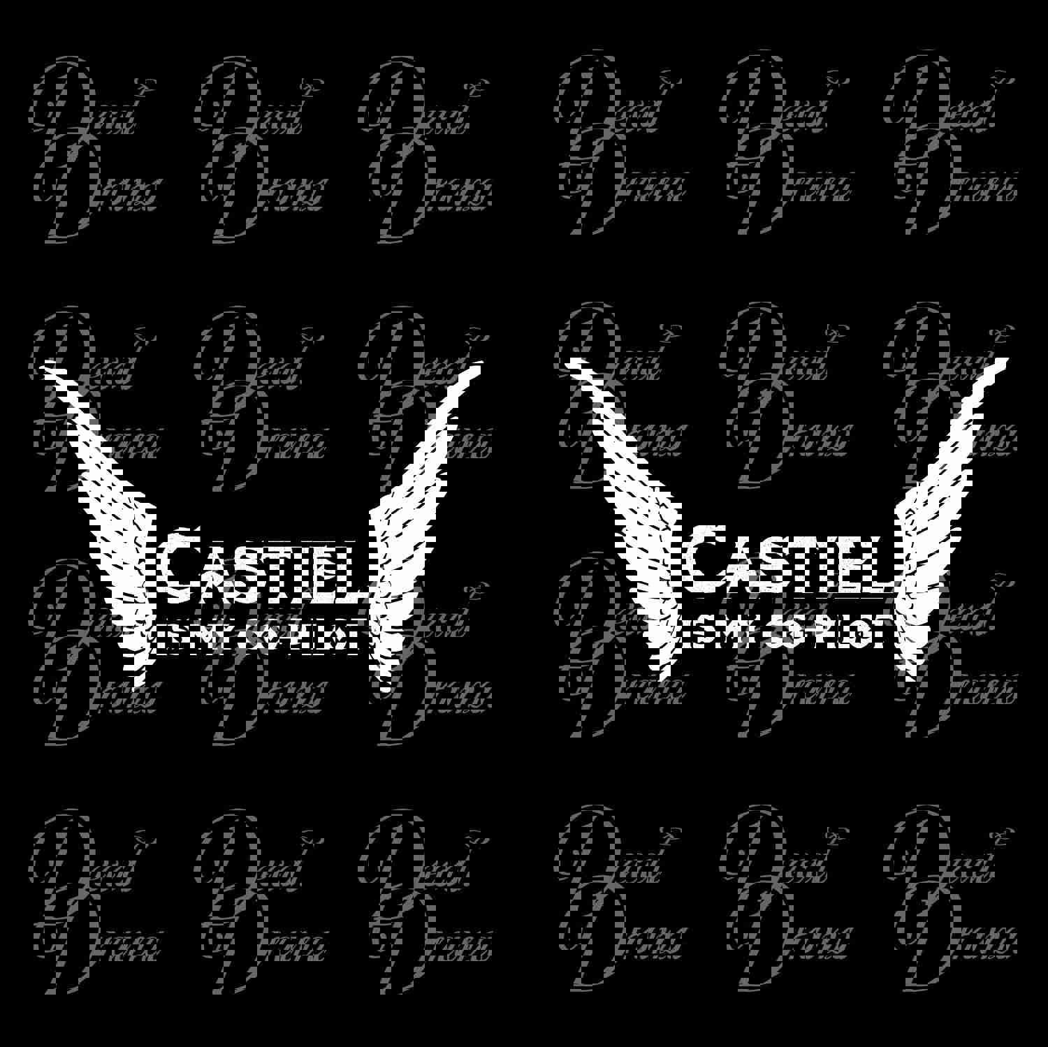 Castiel is My Co-Pilot Sticker - Supernatural Inspired Vinyl Decal for Car or Laptop
