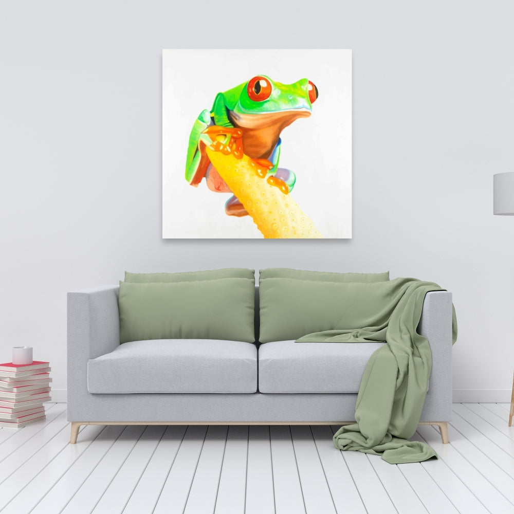 Curious Red Eyed Frog - Fine Art Gallery Wrapped Canvas 24x36
