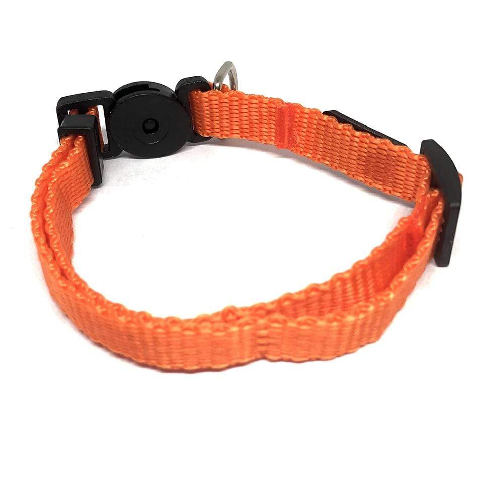 Festive Furriend Travel Gear Bundle for Cats