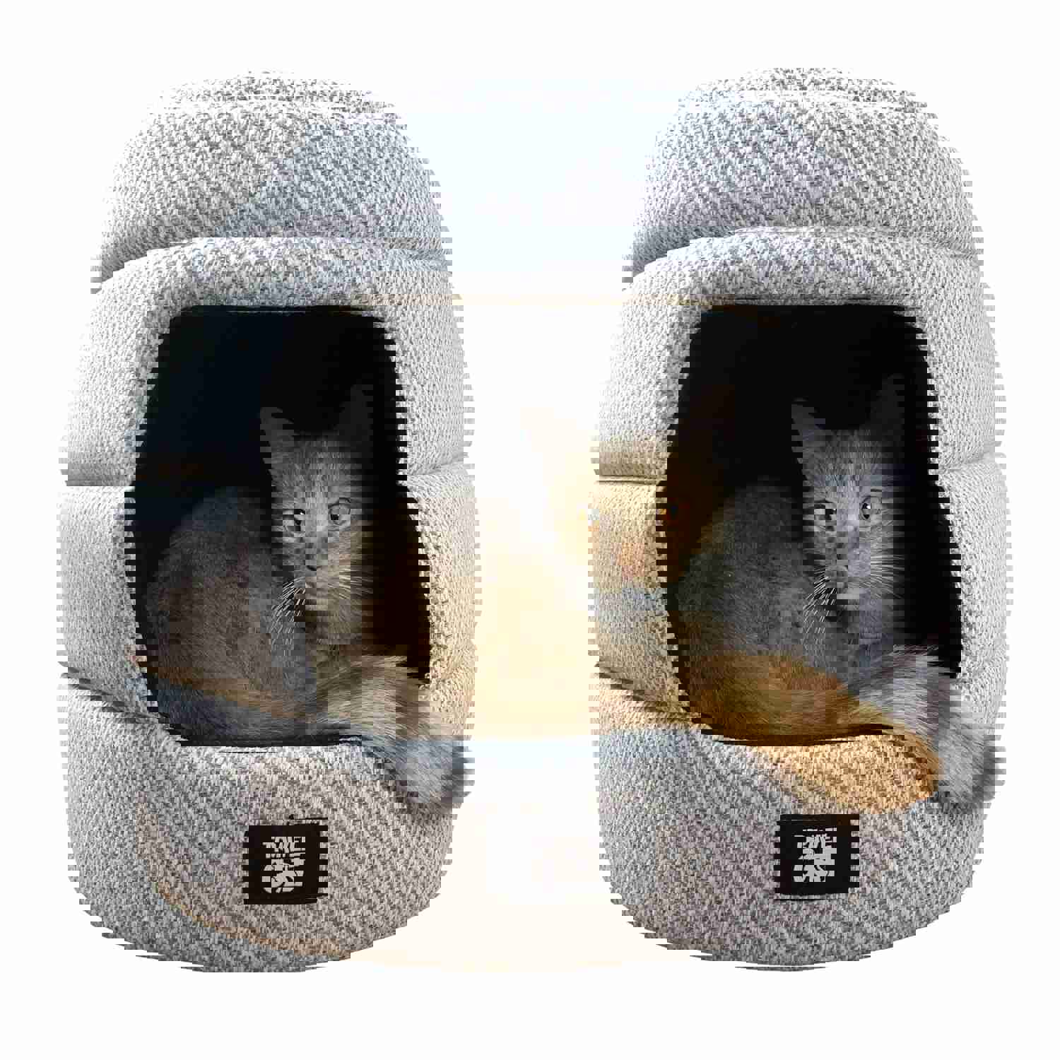 Festive Furriend Travel Gear Bundle for Cats