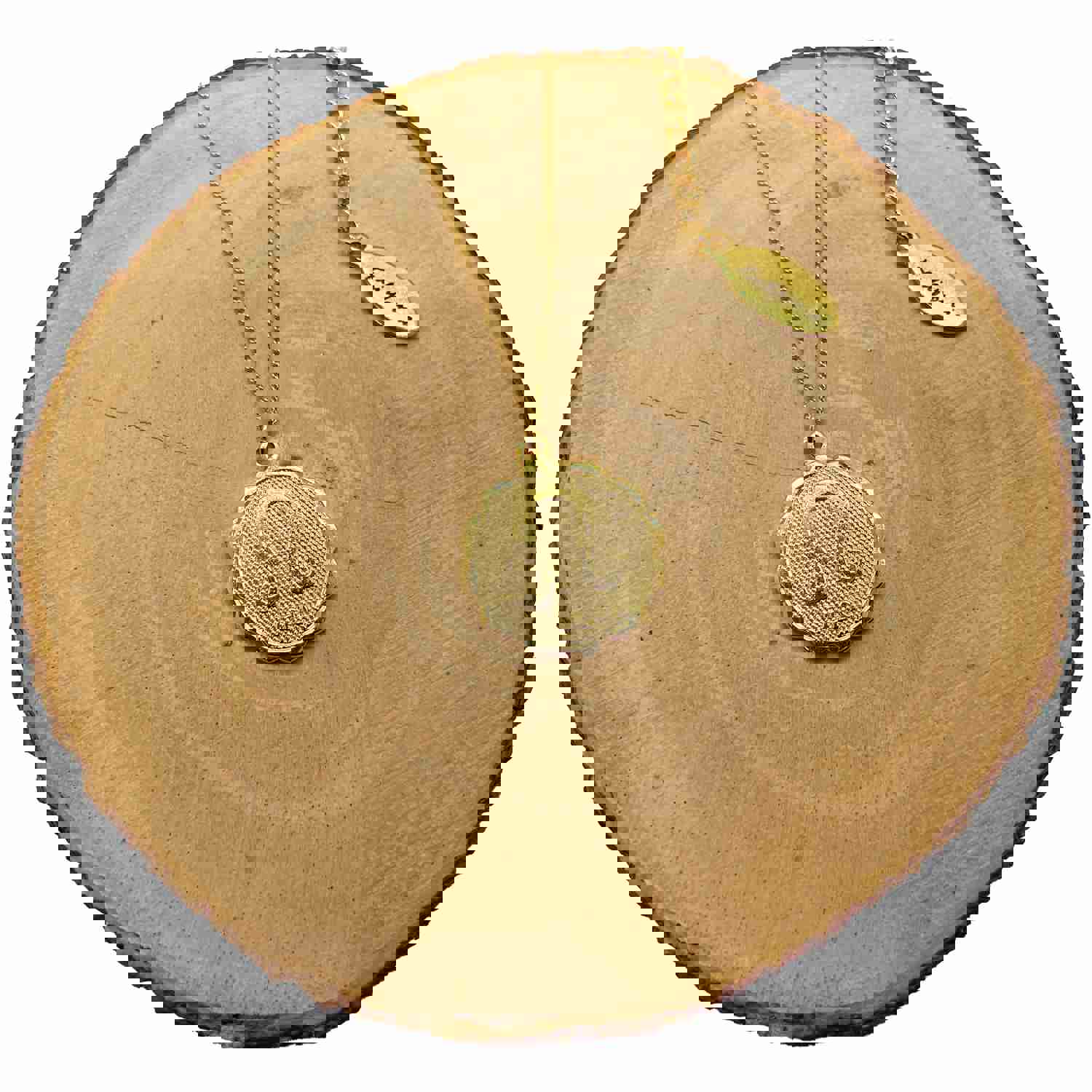 Zodiac Medallion Necklace - 14k Gold Filled with Extra Fine Link Chain