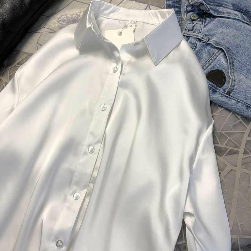 Women's Silk Shirt Blouse Sheer Top Long Sleeve Shirt