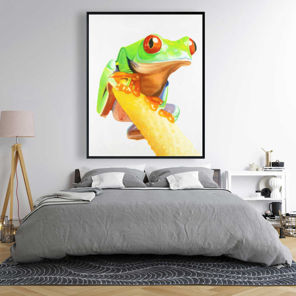 Curious Red Eyed Frog - Fine Art Gallery Wrapped Canvas 24x36