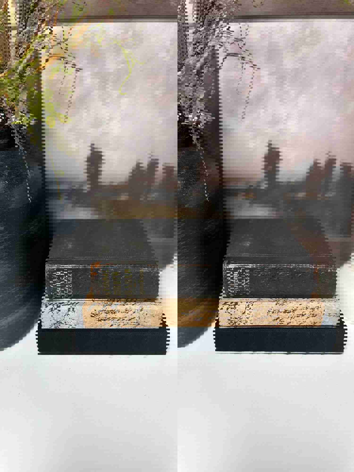 Black Vintage Book Set for Home Decor