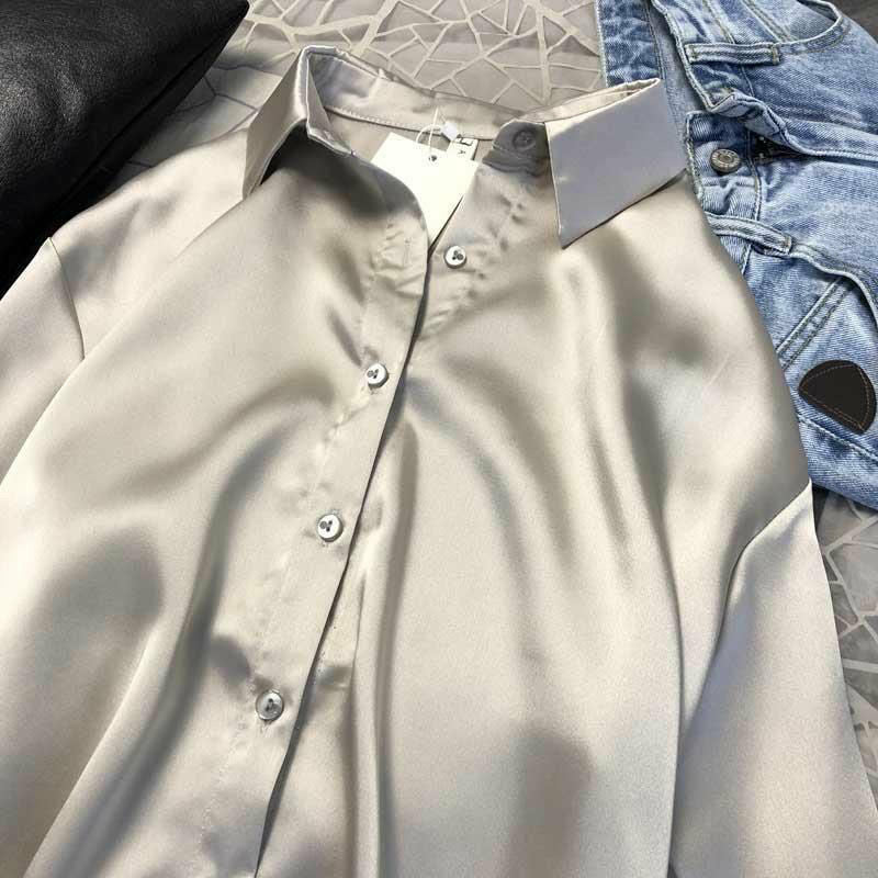 Women's Silk Shirt Blouse Sheer Top Long Sleeve Shirt