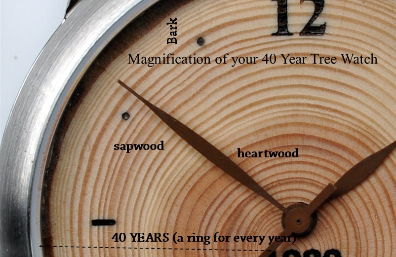 Mens Wooden Watch - 40th Birthday & Anniversary Gift, Engraved with Tree Rings