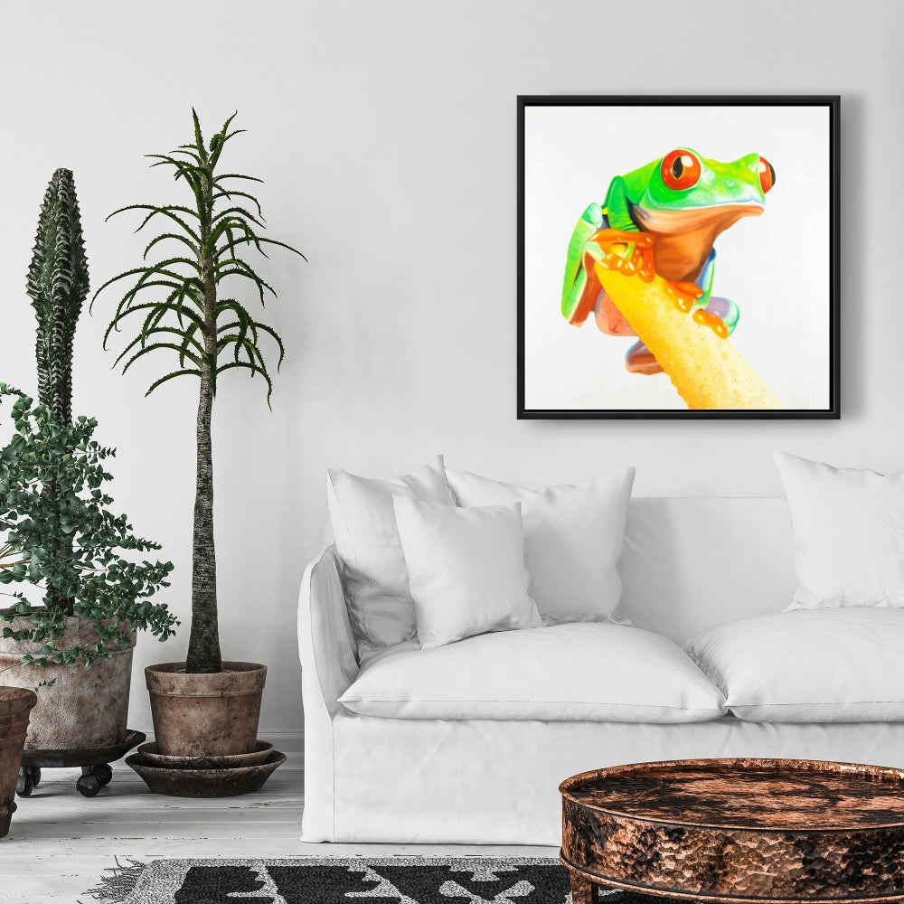 Curious Red Eyed Frog - Fine Art Gallery Wrapped Canvas 24x36