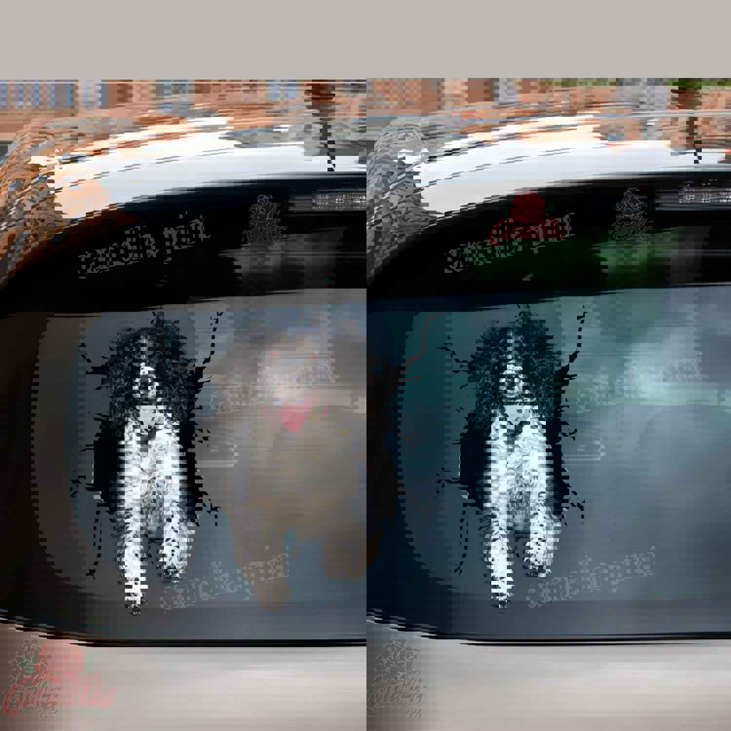 English Springer Spaniel Crack Sticker Album - Funny Quotes Laptop Decals - Best Gifts For Dad