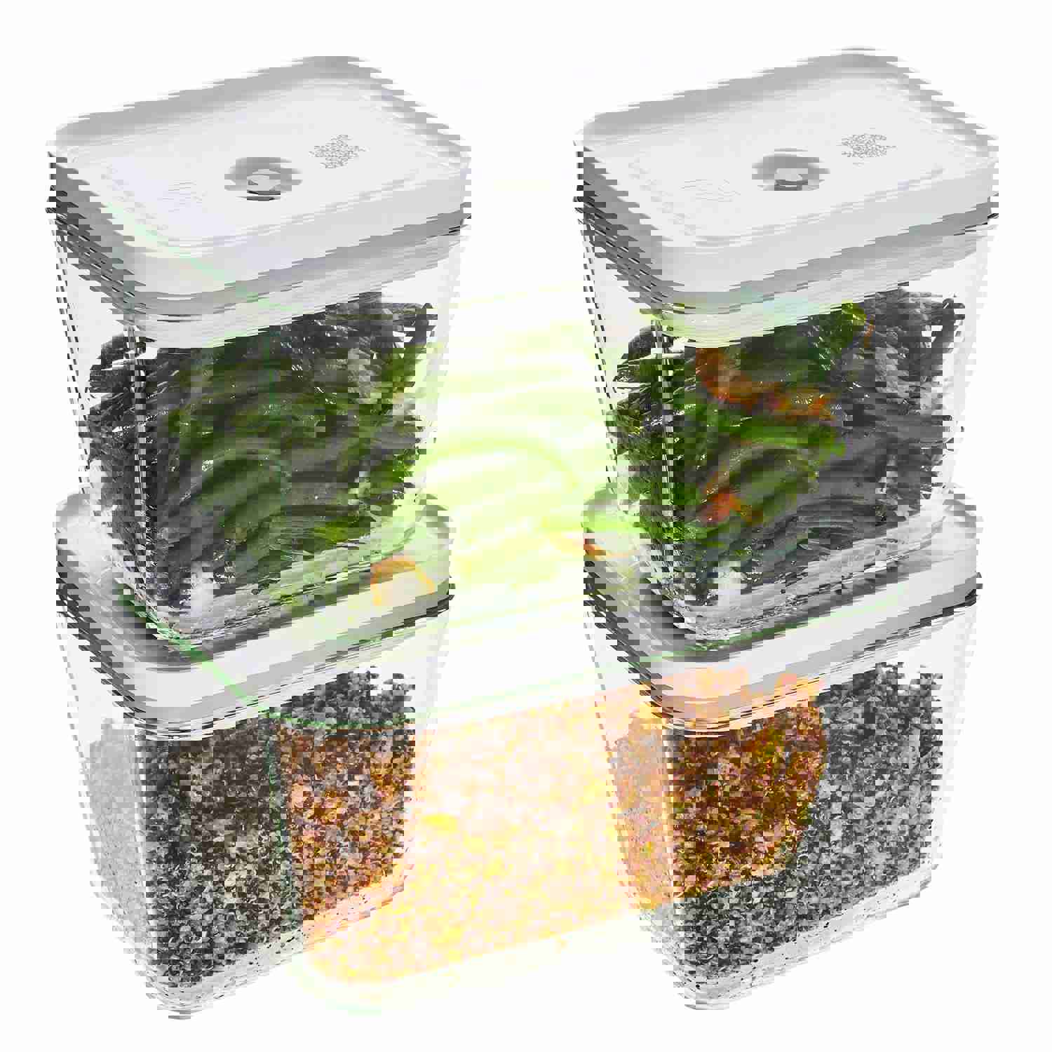 Zwilling Fresh & Save Glass Airtight Food Storage Container