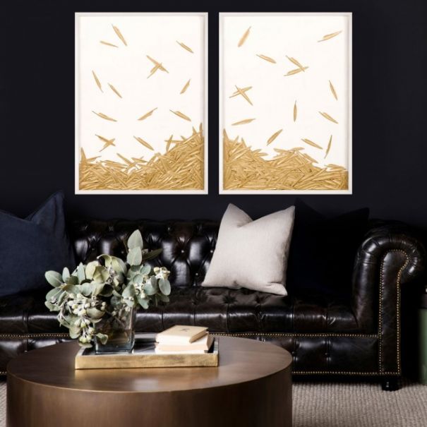 Natural Curiosities Art - Fallen Feathers 2 in White Shadowbox
