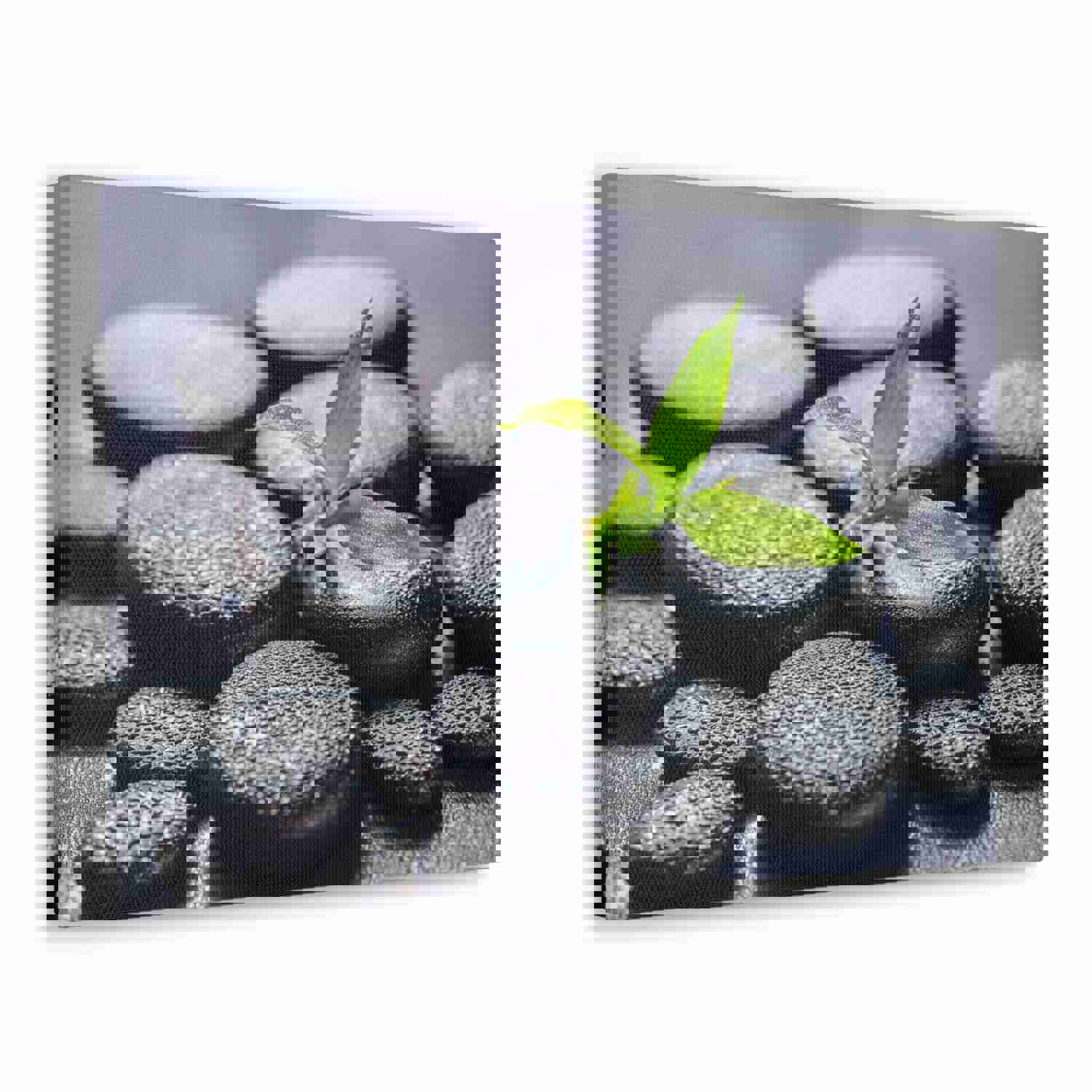 Bamboo on Zen Stones Forest Floral Nature Photography Canvas Wall Art for Home Decor