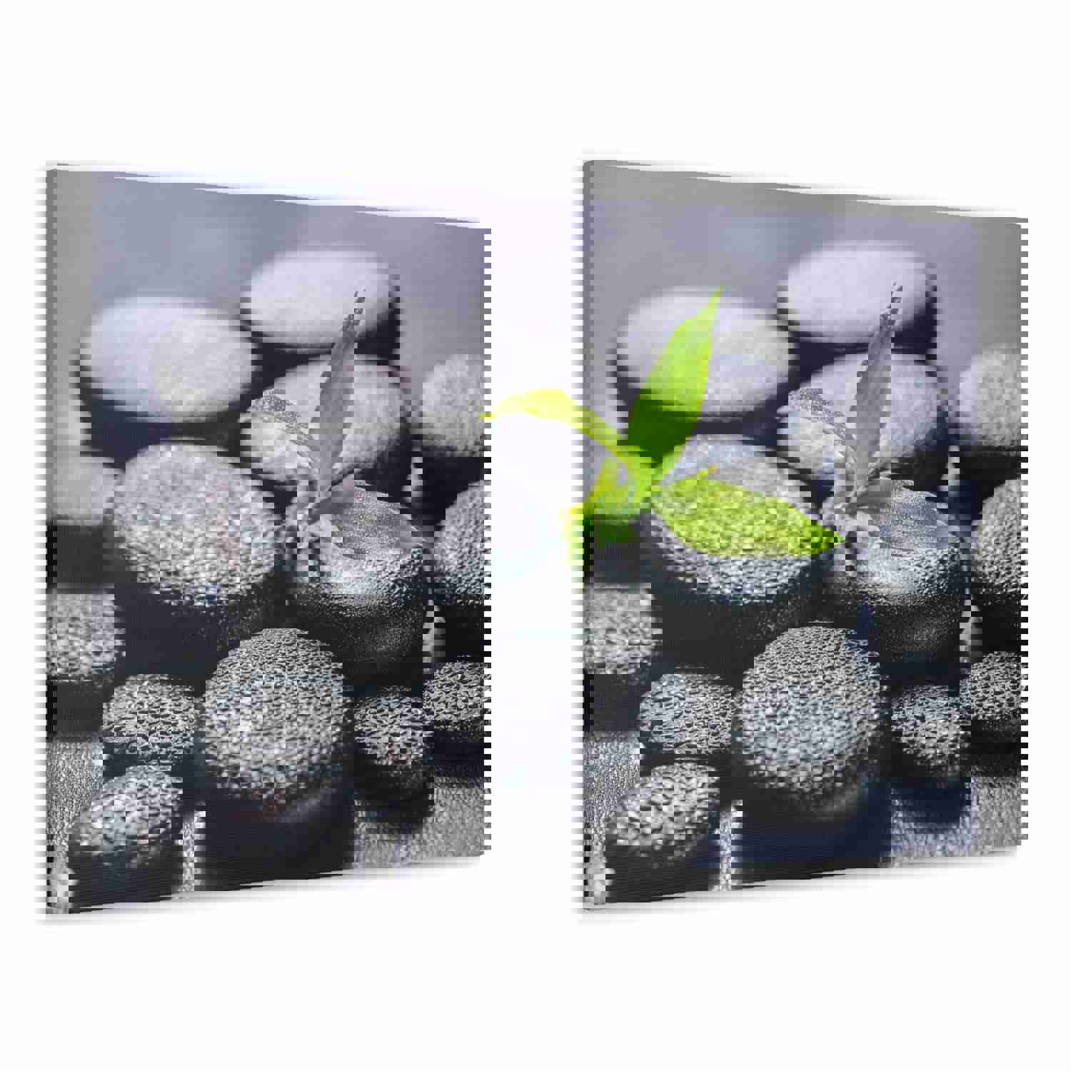 Bamboo on Zen Stones Forest Floral Nature Photography Canvas Wall Art for Home Decor