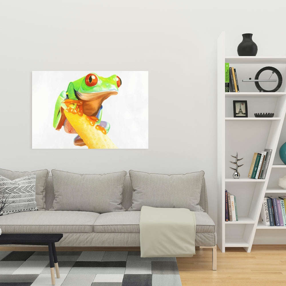 Curious Red Eyed Frog - Fine Art Gallery Wrapped Canvas 24x36