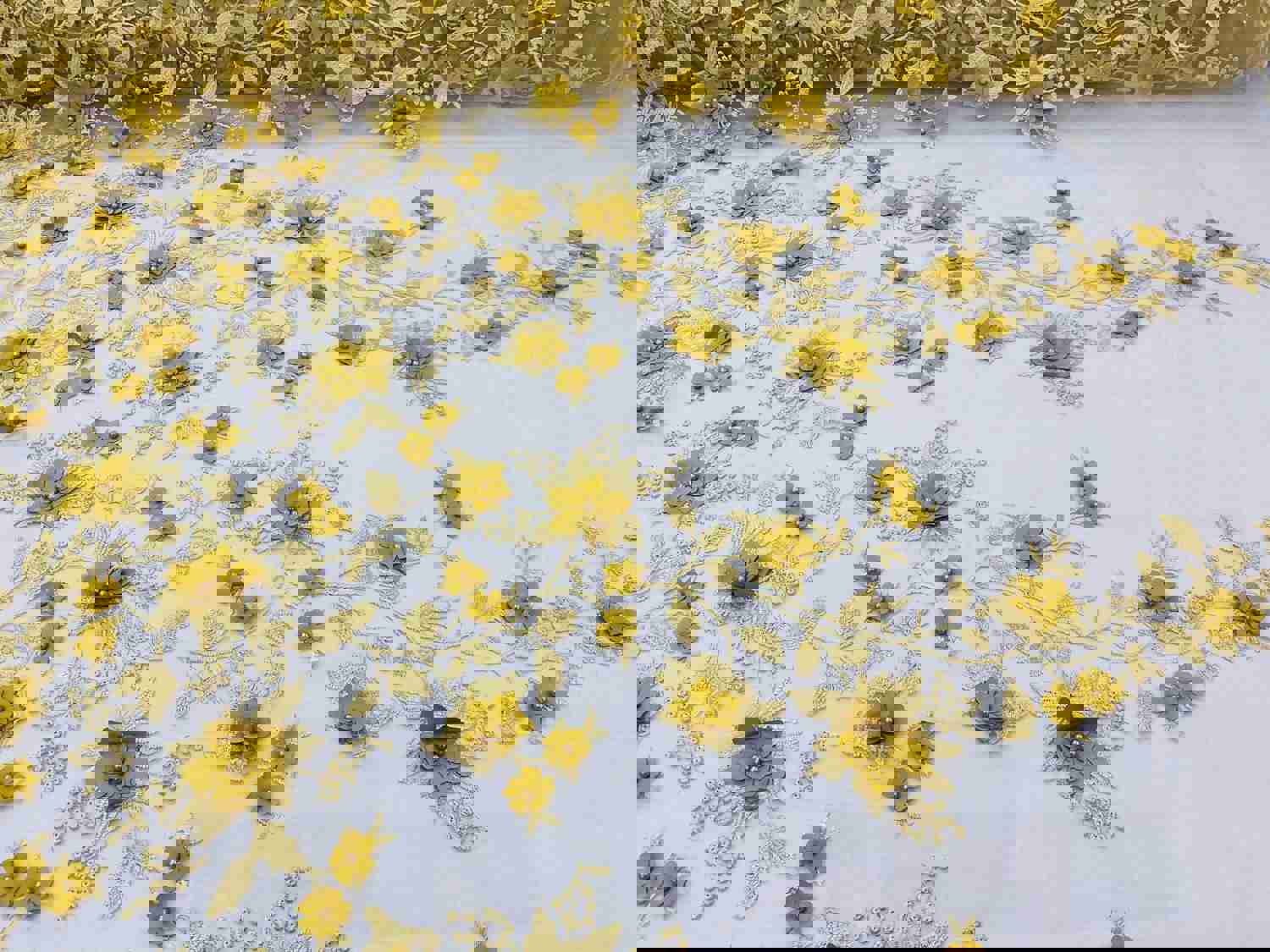 Gold Two Tone 3D Floral Design Embroidered and Beaded Mesh Lace Fabric