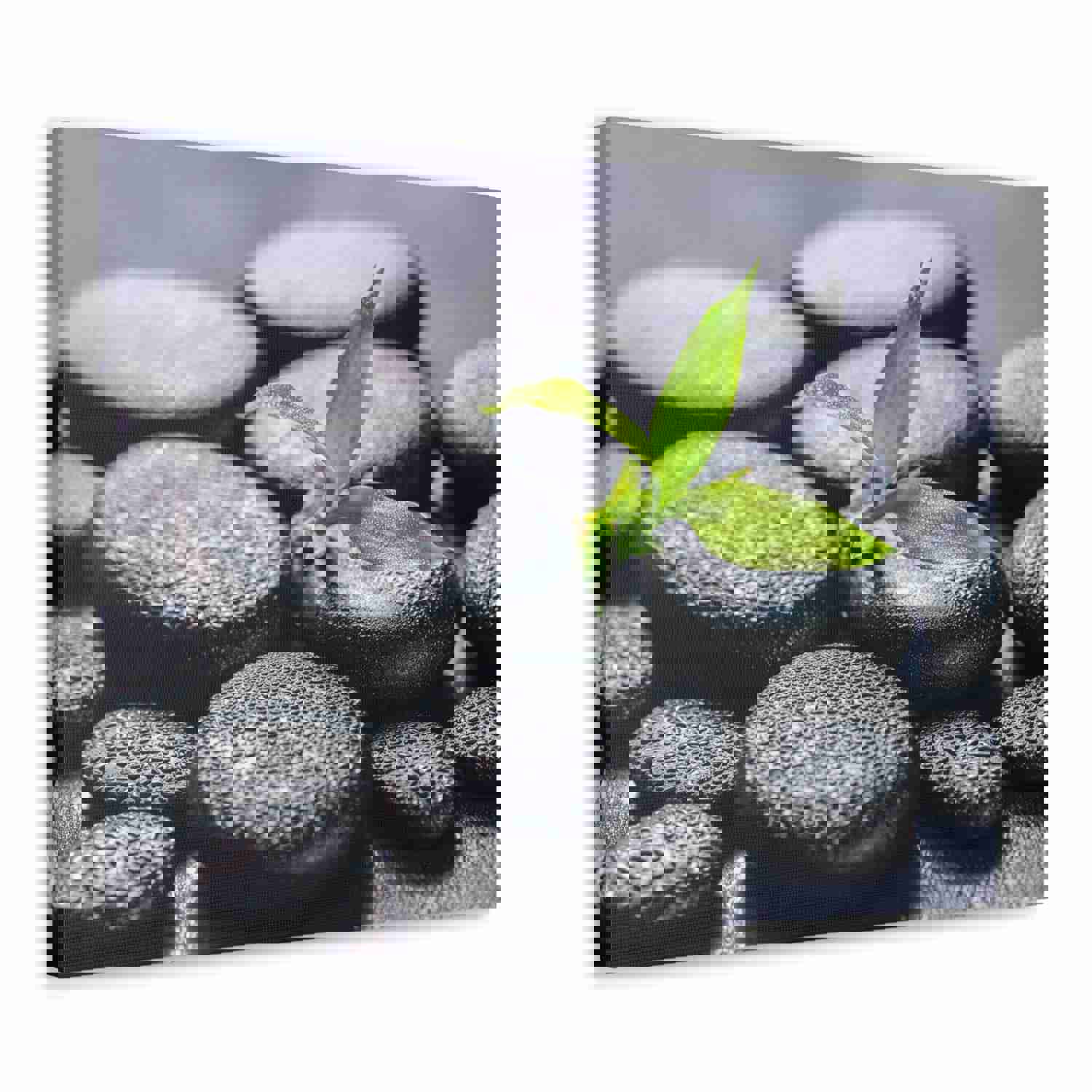 Bamboo on Zen Stones Forest Floral Nature Photography Canvas Wall Art for Home Decor