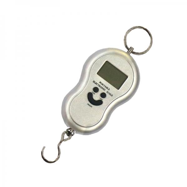 50kg/10g Portable Electronic Scale with Hook for Fishing and Household Use - Silver