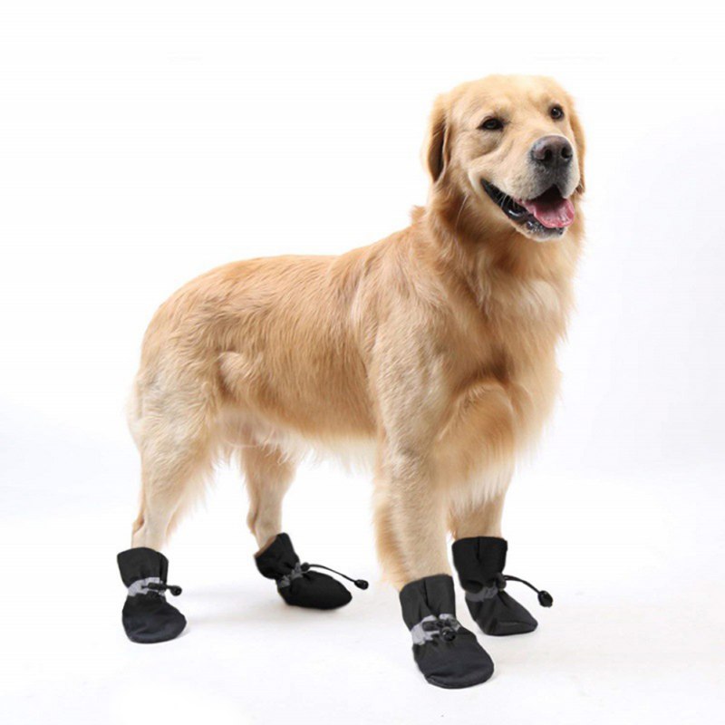 4pcs Antiskid Pet Dog Shoes - Soft-soled Puppy Protection for Winter Paw Care