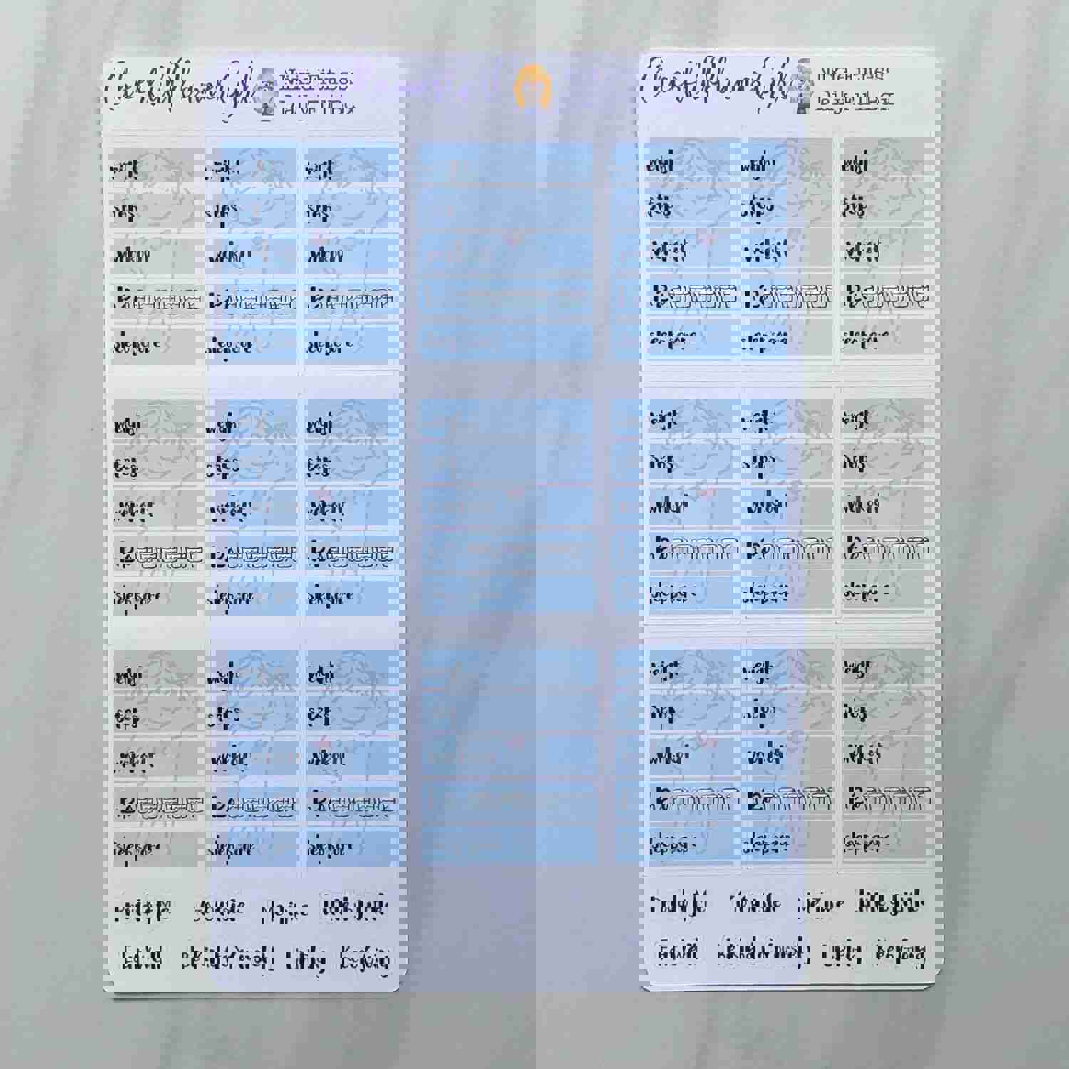 Nixie Fitness Daily Full Box - 9 Motivational Stickers Included