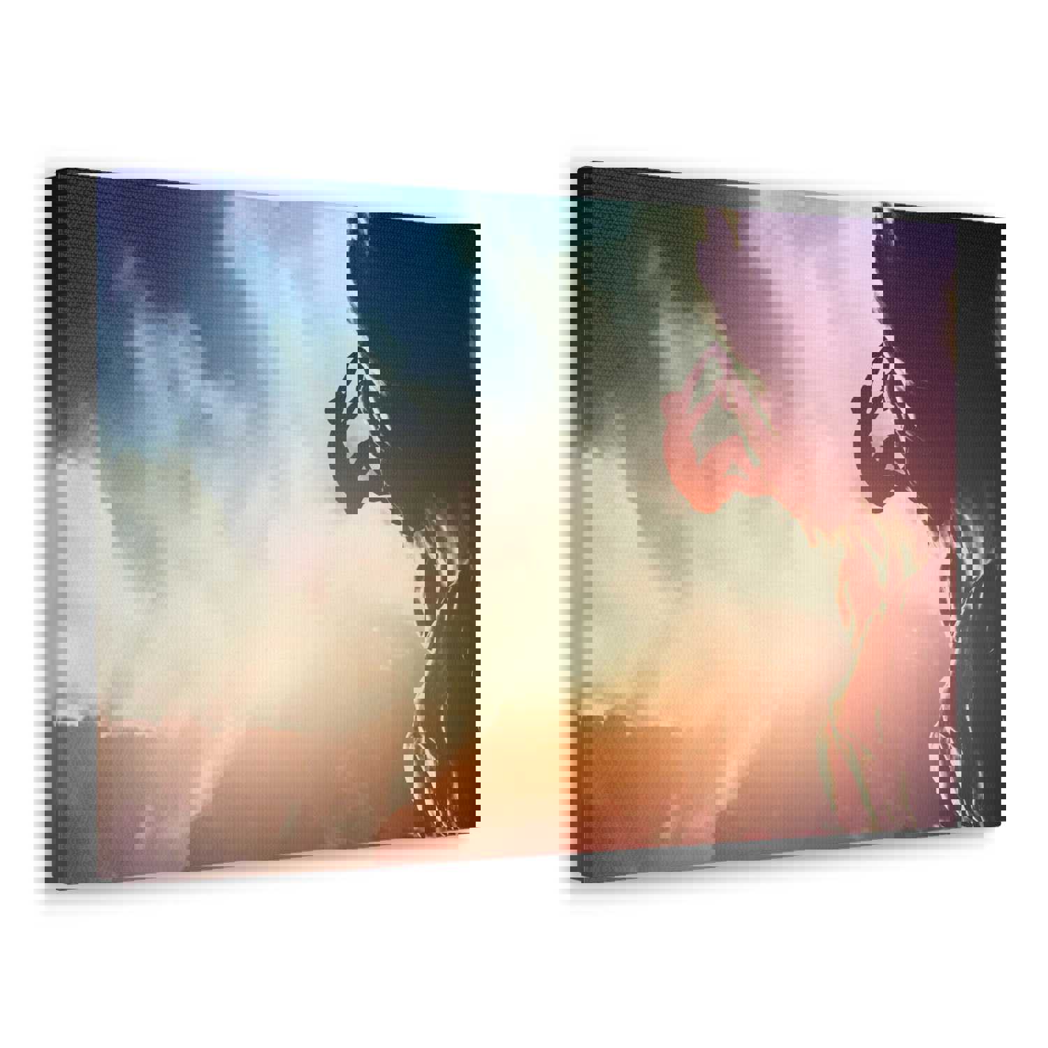 Man Climbing Rock Mountain Nature Wilderness Photography Canvas Wall Art for Home Decor