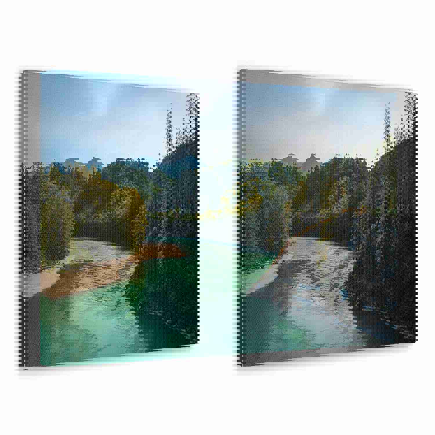 River Through Pine Tree Green Forest Nature Wilderness Photography Canvas Wall Art for Home Decor